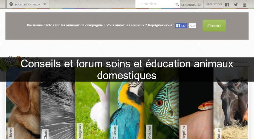 Conseils et forum soins et éducation animaux domestiques Conseils et forum soins et éducation animaux domestiques