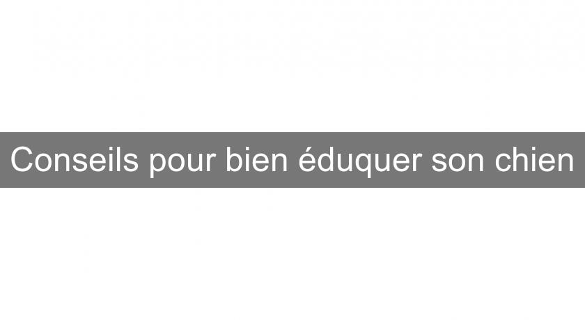 Conseils pour bien éduquer son chien Conseils pour bien éduquer son chien