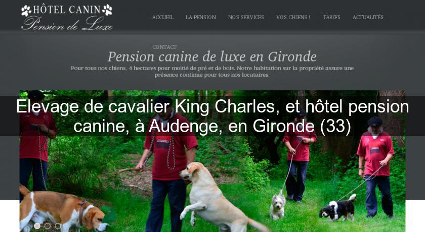 Elevage de cavalier King Charles, et hôtel pension canine, à Audenge, en Gironde (33) Elevage de cavalier King Charles, et hôtel pension canine, à Audenge, en Gironde (33)
