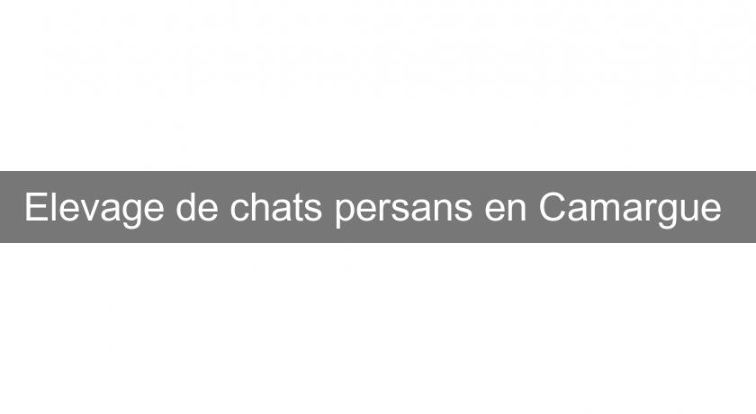 Elevage de chats persans en Camargue Elevage de chats persans en Camargue