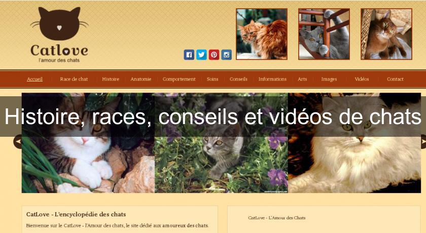 Histoire, races, conseils et vidéos de chats Histoire, races, conseils et vidéos de chats