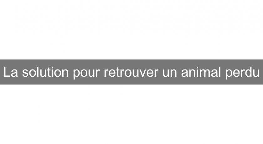 La solution pour retrouver un animal perdu La solution pour retrouver un animal perdu