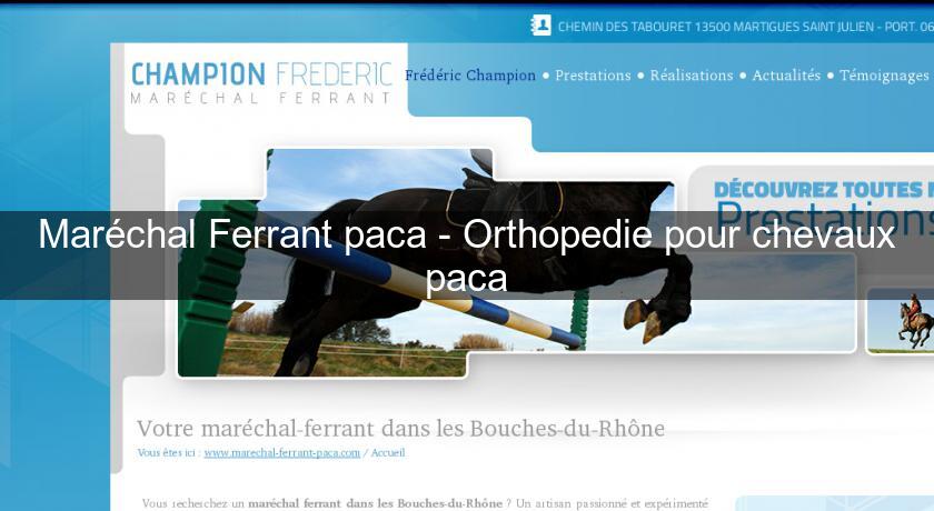 Maréchal Ferrant paca - Orthopedie pour chevaux paca Maréchal Ferrant paca - Orthopedie pour chevaux paca