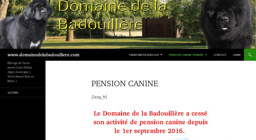 Pension Canine et Elevage de Terre Neuve dans la Loire Pension Canine et Elevage de Terre Neuve dans la Loire