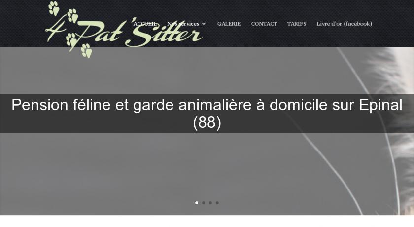 Pension féline et garde animalière à domicile sur Epinal (88) Pension féline et garde animalière à domicile sur Epinal (88)