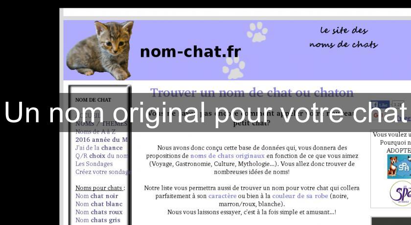 Un nom original pour votre chat Un nom original pour votre chat