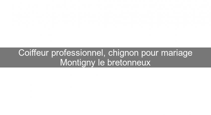 Coiffeur professionnel, chignon pour mariage Montigny le bretonneux Coiffeur professionnel, chignon pour mariage Montigny le bretonneux