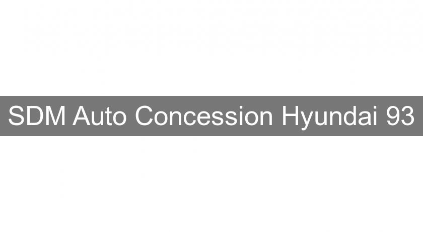 SDM Auto Concession Hyundai 93 SDM Auto Concession Hyundai 93