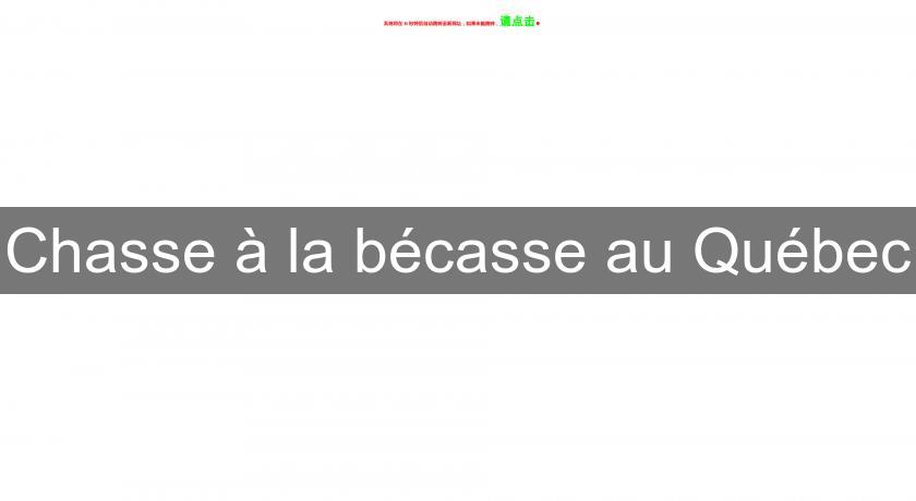 Chasse à la bécasse au Québec Chasse à la bécasse au Québec