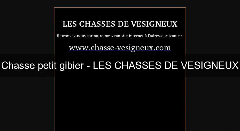 Chasse petit gibier - LES CHASSES DE VESIGNEUX Chasse petit gibier - LES CHASSES DE VESIGNEUX