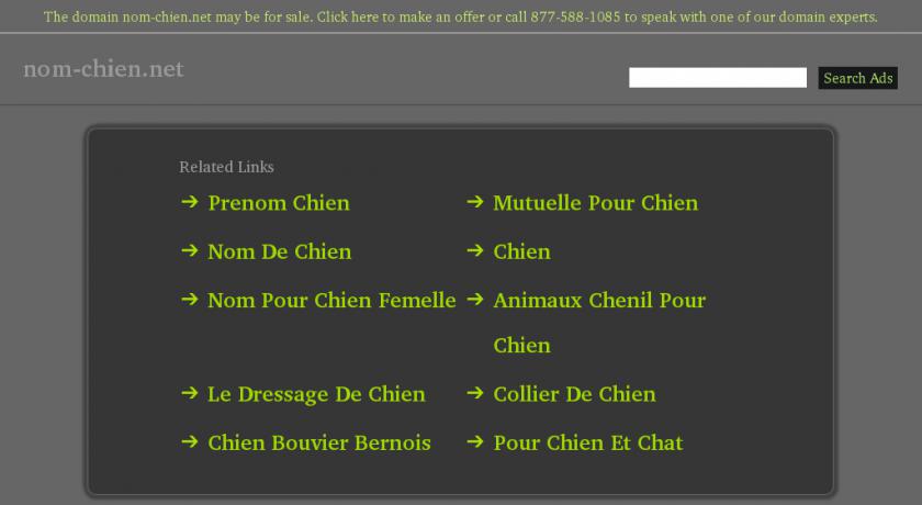 Conseil alimentation, beauté et accessoires pour chien Conseil alimentation, beauté et accessoires pour chien