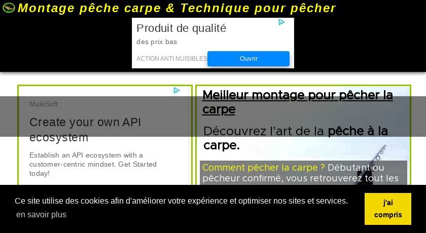 Conseils et méthodes pour la pêche à la cape Conseils et méthodes pour la pêche à la cape