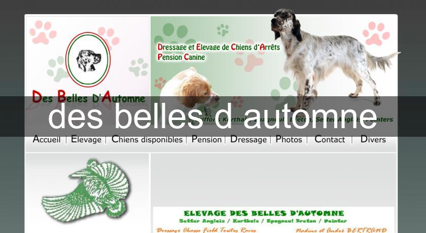 des belles d'automne des belles d'automne