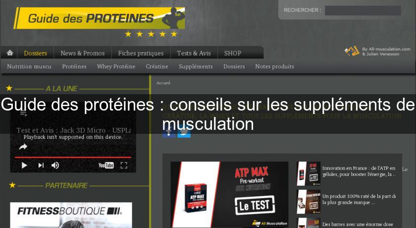 Guide des protéines : conseils sur les suppléments de musculation Guide des protéines : conseils sur les suppléments de musculation