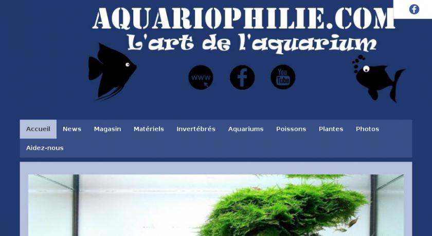 Aquariophilie : L'art de l'aquarium Aquariophilie : L'art de l'aquarium