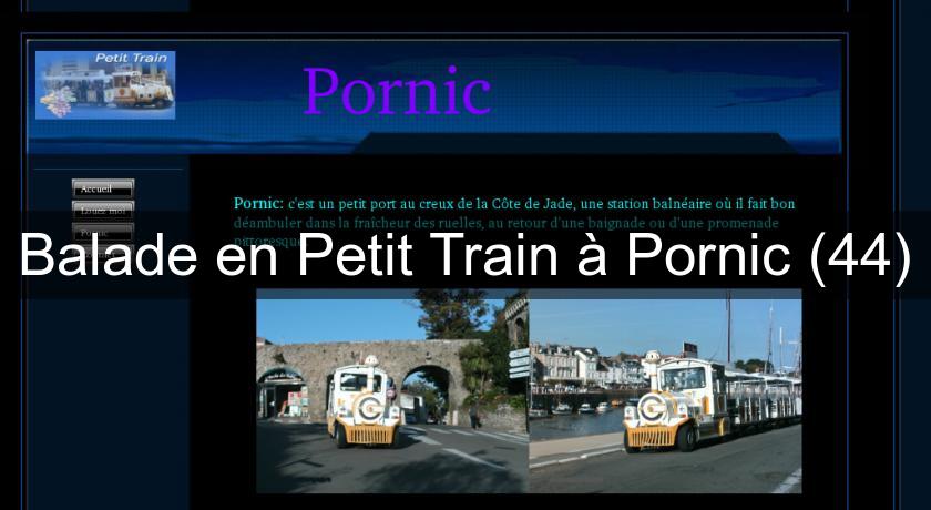 Balade en Petit Train à Pornic (44) Balade en Petit Train à Pornic (44)