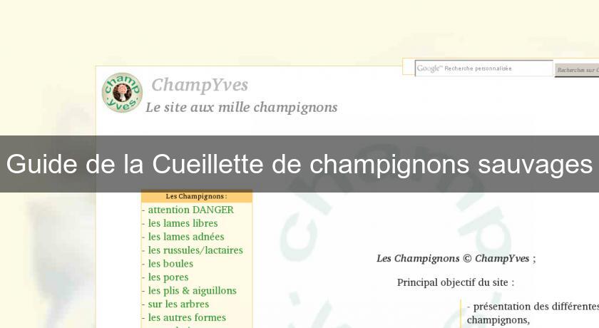 Guide de la Cueillette de champignons sauvages Guide de la Cueillette de champignons sauvages