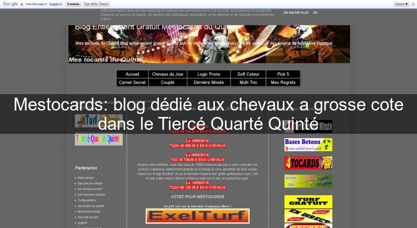 Mestocards: blog dédié aux chevaux a grosse cote dans le Tiercé Quarté Quinté Mestocards: blog dédié aux chevaux a grosse cote dans le Tiercé Quarté Quinté
