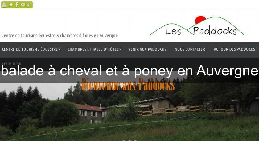 balade à cheval et à poney en Auvergne balade à cheval et à poney en Auvergne