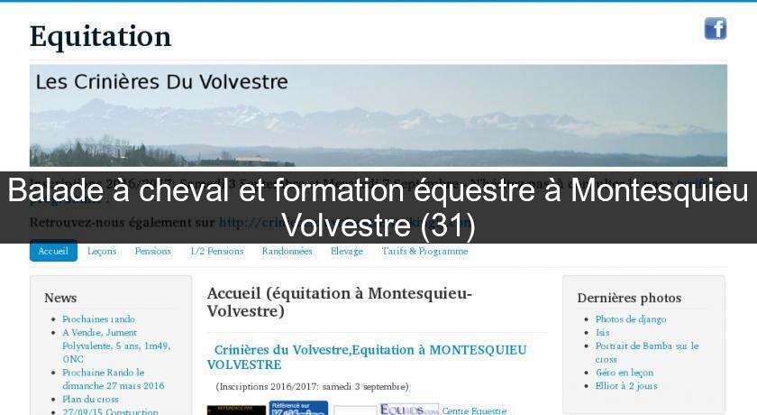 Balade à cheval et formation équestre à Montesquieu Volvestre (31) Balade à cheval et formation équestre à Montesquieu Volvestre (31)