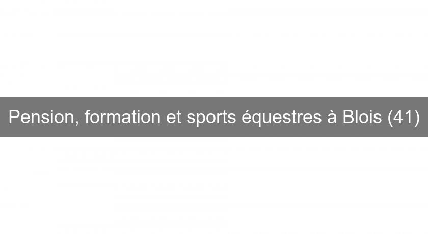 Pension, formation et sports équestres à Blois (41) Pension, formation et sports équestres à Blois (41)