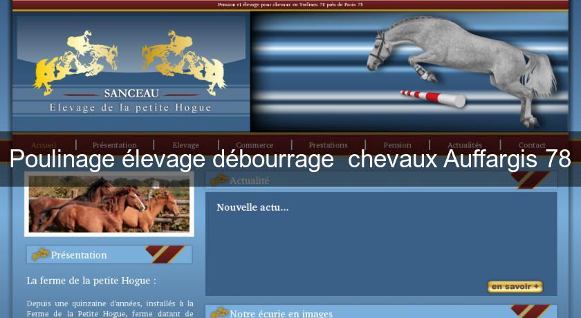 Poulinage élevage débourrage chevaux Auffargis 78 Poulinage élevage débourrage chevaux Auffargis 78