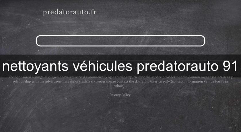  nettoyants véhicules predatorauto 91