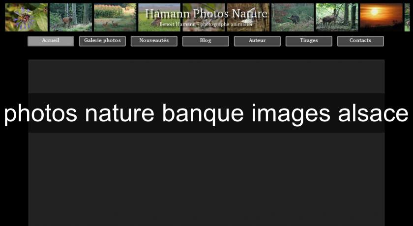 photos nature banque images alsace photos nature banque images alsace