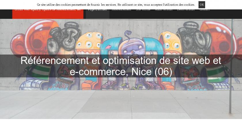  Référencement et optimisation de site web et e-commerce, Nice (06)