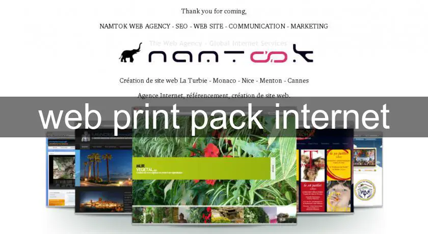  web print pack internet