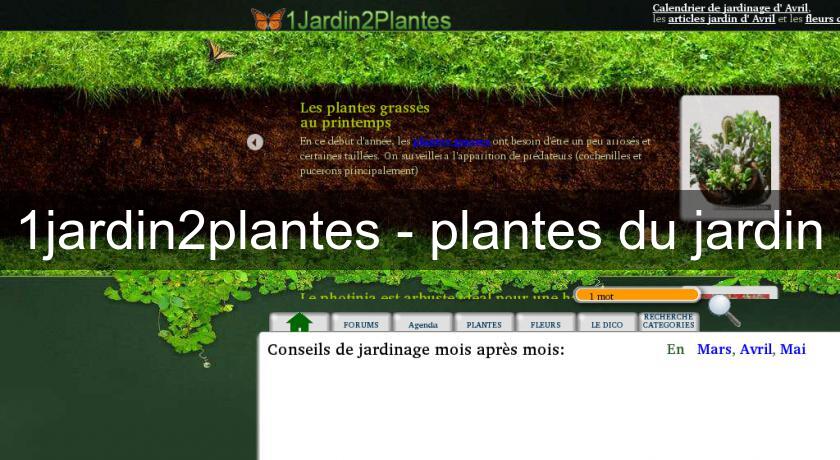 1jardin2plantes - plantes du jardin 1jardin2plantes - plantes du jardin