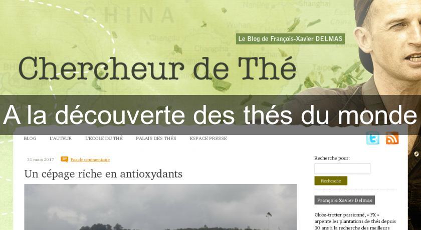 A la découverte des thés du monde A la découverte des thés du monde