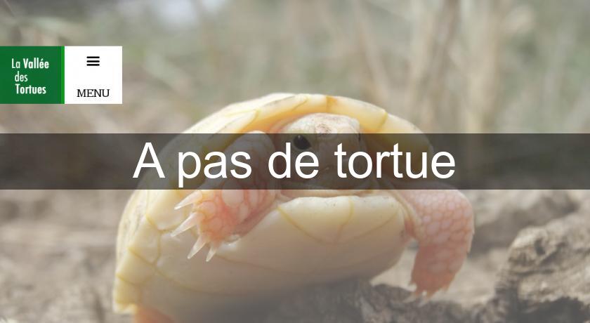 A pas de tortue A pas de tortue