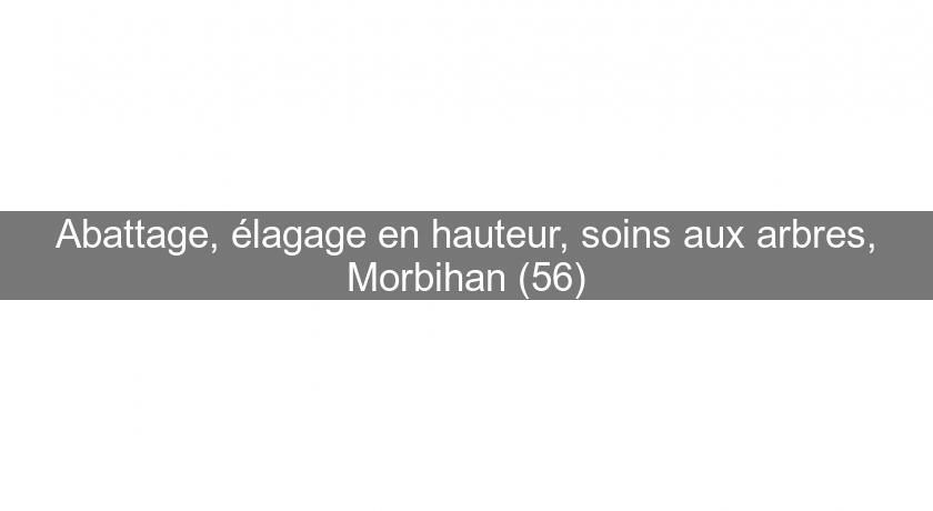 Abattage, élagage en hauteur, soins aux arbres, Morbihan (56)