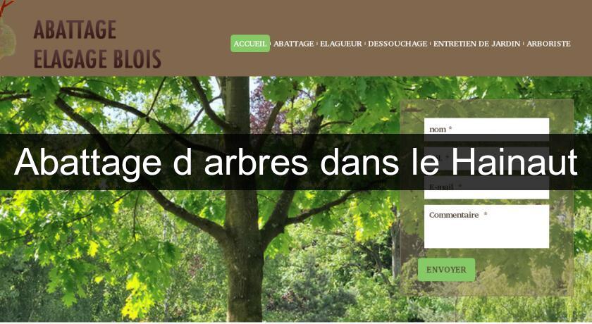 Abattage d'arbres dans le Hainaut