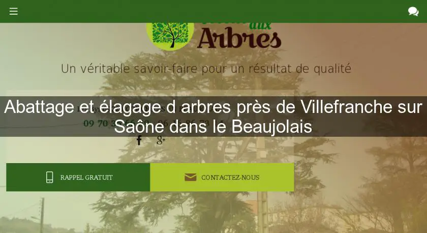 Abattage et élagage d'arbres près de Villefranche sur Saône dans le Beaujolais