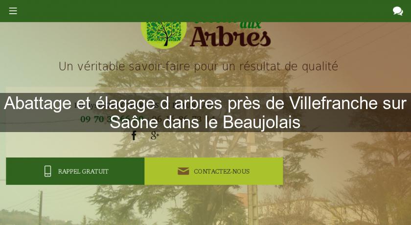 Abattage et élagage d'arbres près de Villefranche sur Saône dans le Beaujolais Abattage et élagage d'arbres près de Villefranche sur Saône dans le Beaujolais