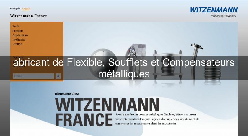 abricant de Flexible, Soufflets et Compensateurs métalliques abricant de Flexible, Soufflets et Compensateurs métalliques