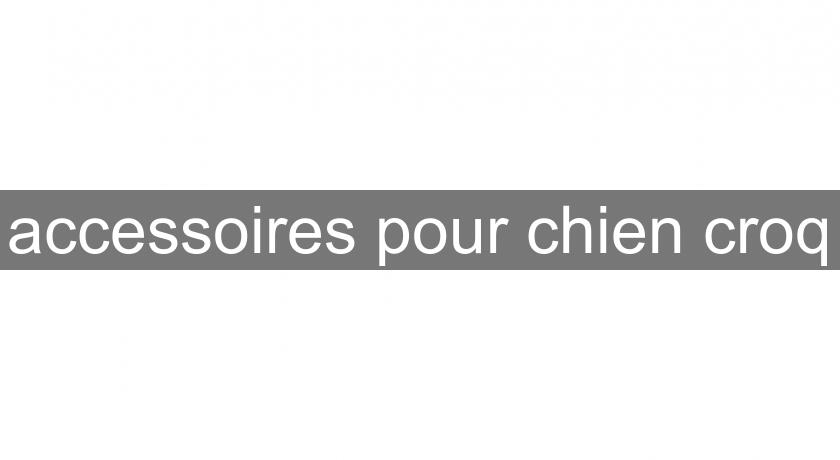 accessoires pour chien croq accessoires pour chien croq