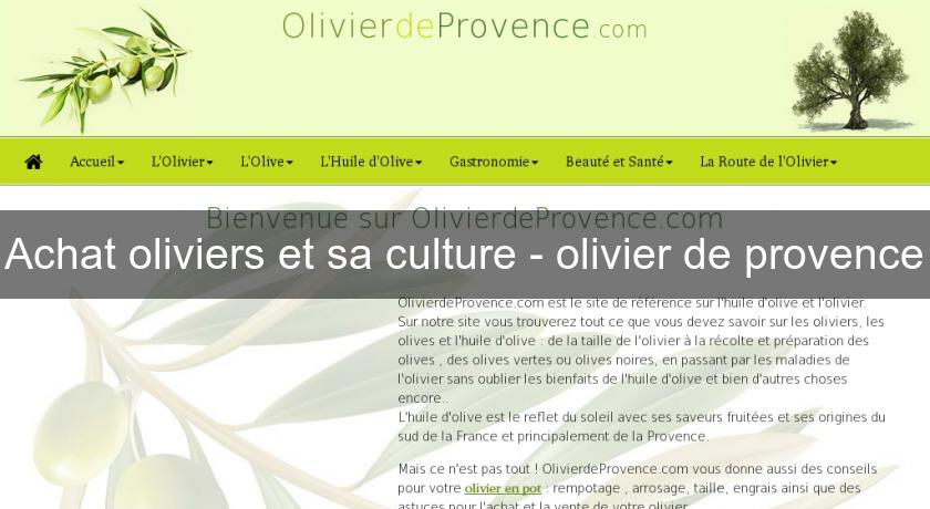 Achat oliviers et sa culture - olivier de provence Achat oliviers et sa culture - olivier de provence
