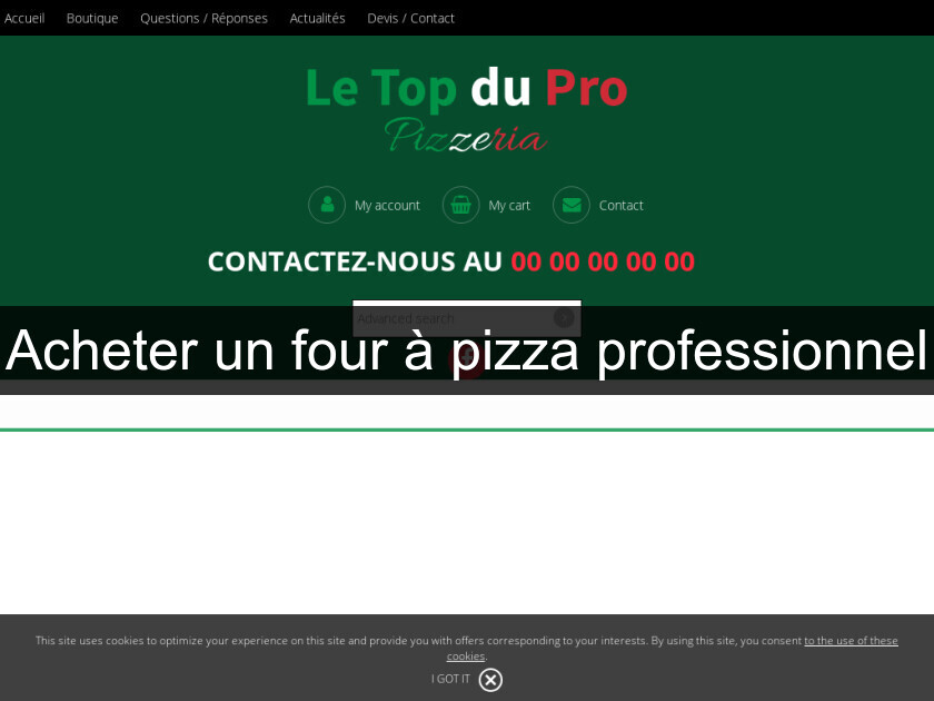 Acheter un four à pizza professionnel