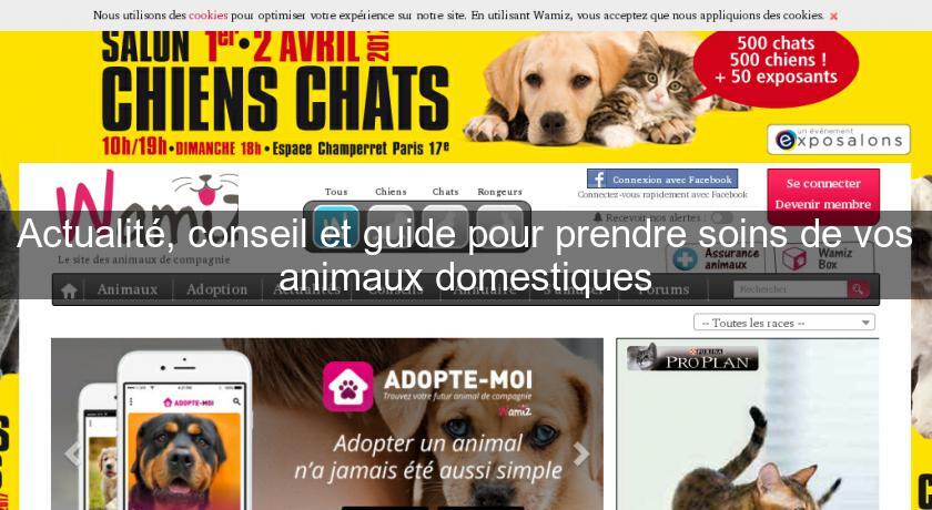 Actualité, conseil et guide pour prendre soins de vos animaux domestiques Actualité, conseil et guide pour prendre soins de vos animaux domestiques