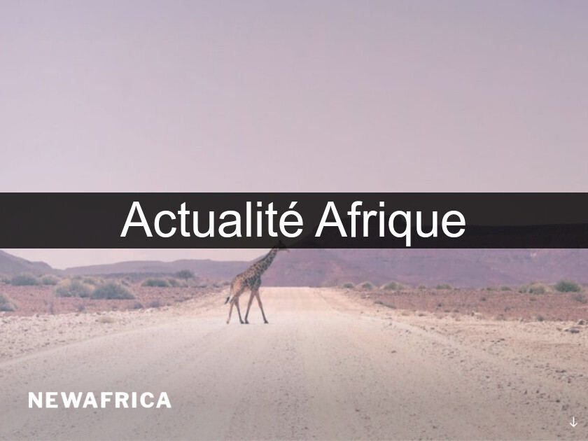 Actualité Afrique