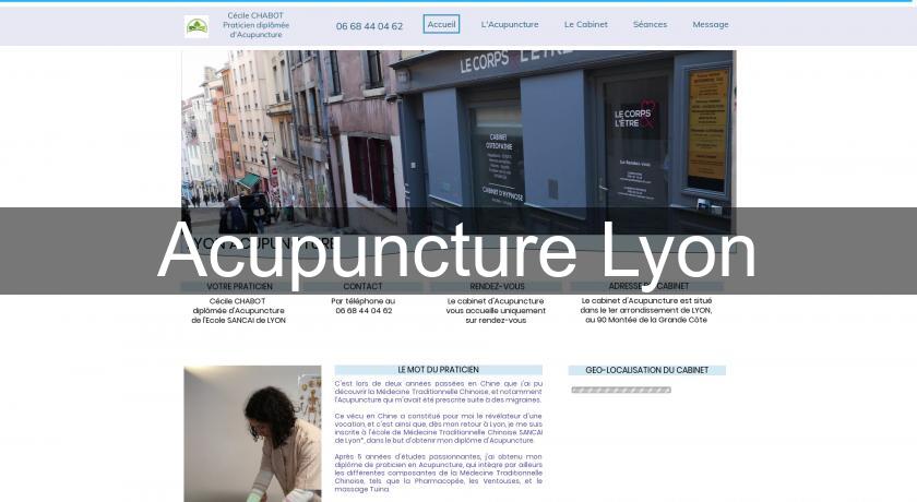 Acupuncture Lyon Acupuncture Lyon