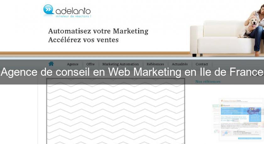 Agence de conseil en Web Marketing en Ile de France Agence de conseil en Web Marketing en Ile de France