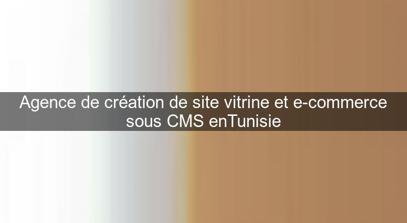 Agence de création de site vitrine et e-commerce sous CMS enTunisie Agence de création de site vitrine et e-commerce sous CMS enTunisie