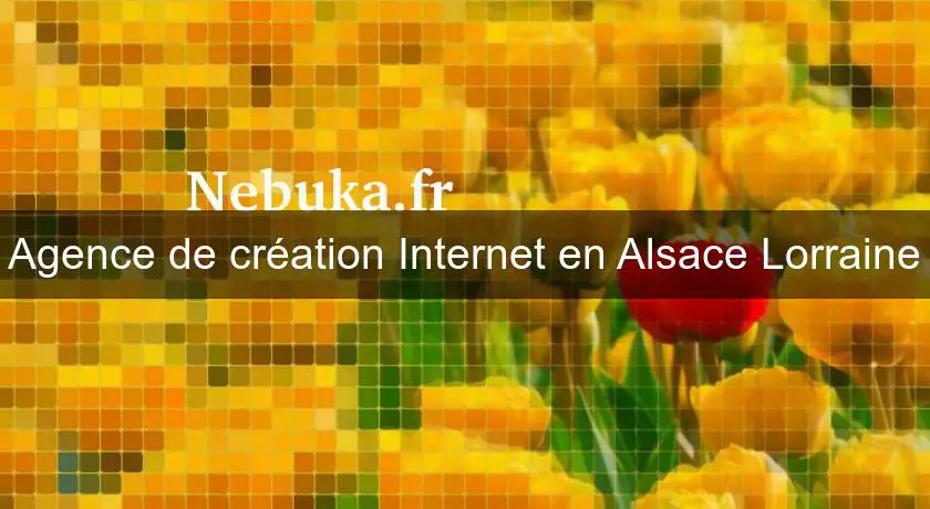Agence de création Internet en Alsace Lorraine