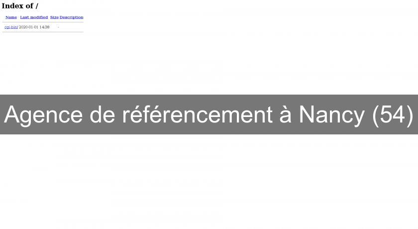 Agence de référencement à Nancy (54) Agence de référencement à Nancy (54)