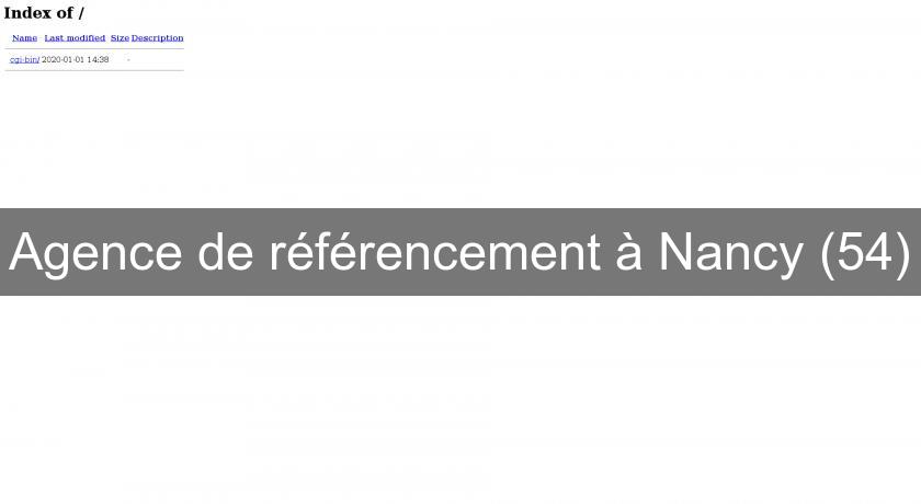 Agence de référencement à Nancy (54)