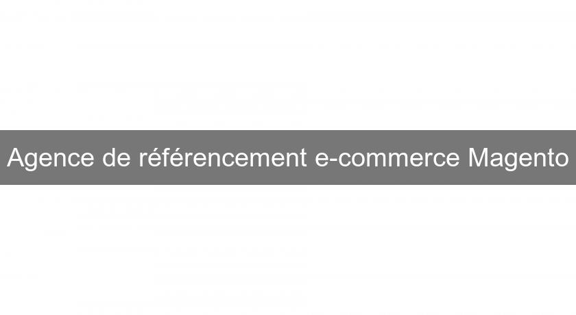 Agence de référencement e-commerce Magento